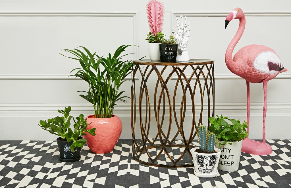 décoration-tropicale